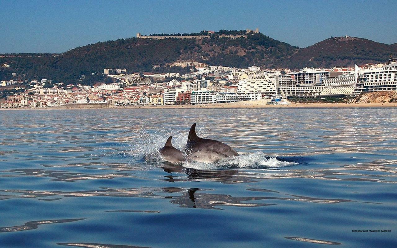 Apartamento Refúgio de Zimbra Sesimbra Exterior foto